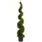 5ft. Potted Cypress Spiral Tree